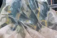 205037