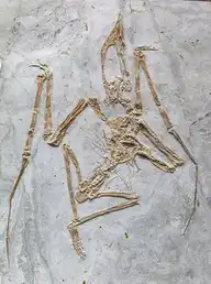 2053