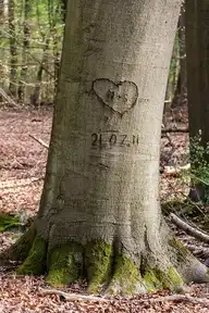 206328