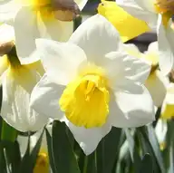 207302