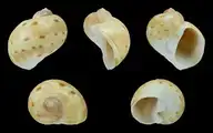 207492