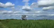207503