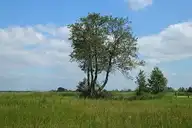 207643