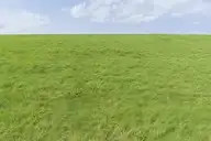 207888