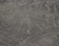 208293