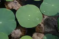 208550