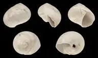 209498