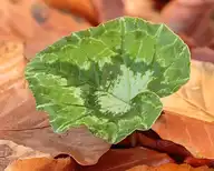 210292