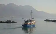 210462