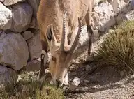 212920
