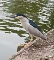 213219