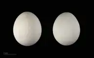 213320