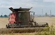 21391