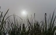 214440