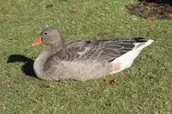 214879