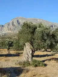 215472