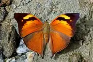 216410