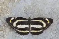 216415
