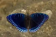 216420