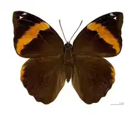 216701