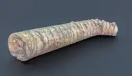 217309
