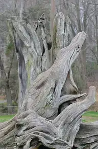 217387