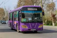 217426
