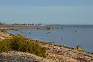 217485