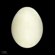 218918