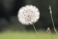 218926