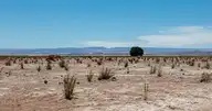 219722
