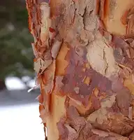 222292