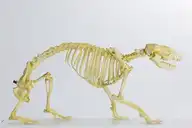 223001