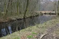 223828