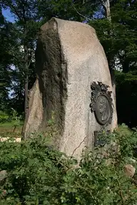 223853