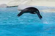 2246