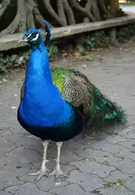 225312
