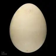 225315