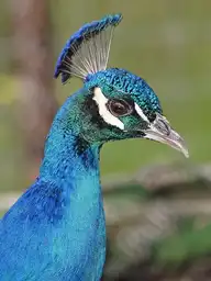 225479