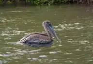 225890