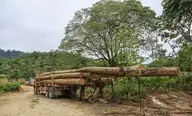226149