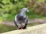 226290
