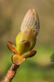 2265