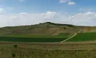 226936