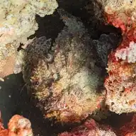 227412