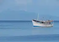 227442