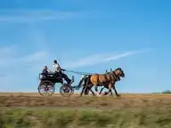 227785