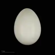 228750