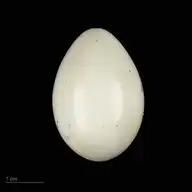 228769