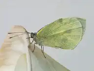 228931